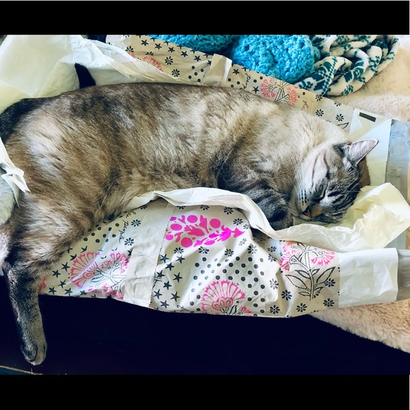 Meet your Posher, Kristin - Picture 10 of 16